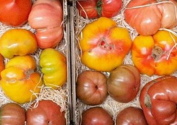 Produktfoto zu Fleischtomaten Mix