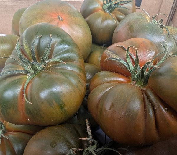 Produktfoto zu Fleischtomaten schwarz