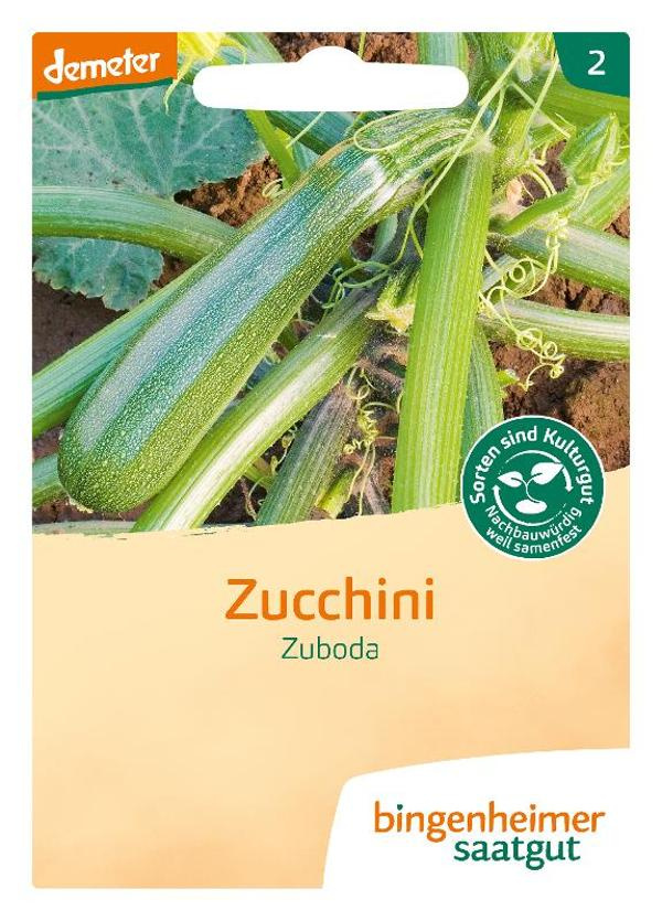 Produktfoto zu Zucchini  Zuboda