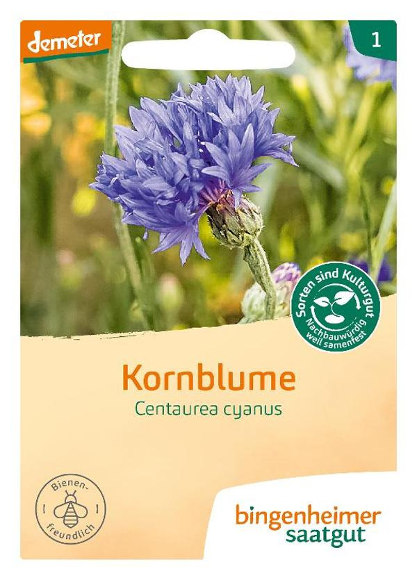 Produktfoto zu Kornblume