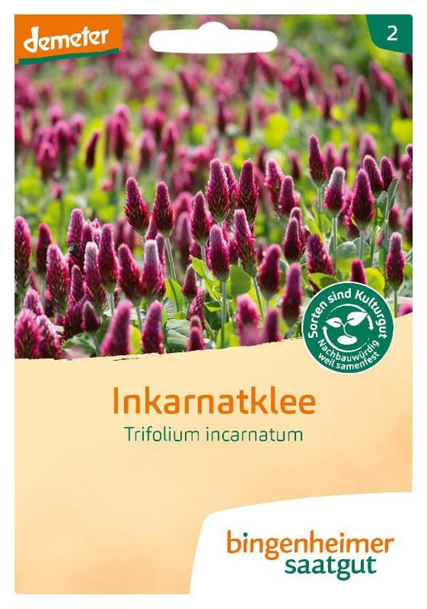 Produktfoto zu Inkarnatklee