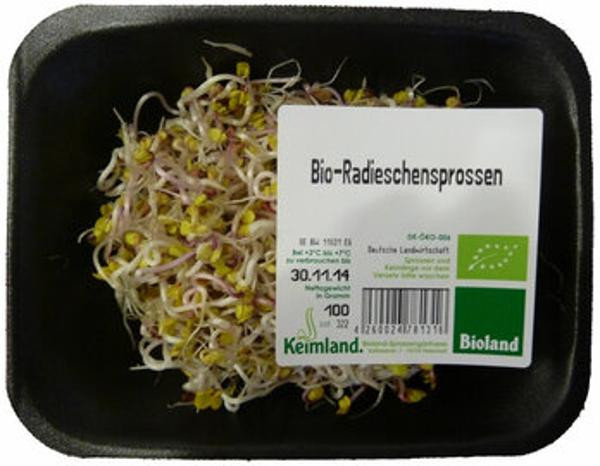 Produktfoto zu Radieschensprossen 100g