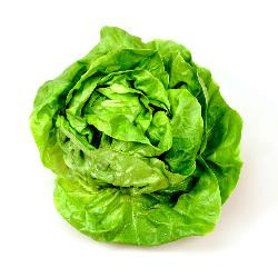 Produktfoto zu Kopfsalat grün