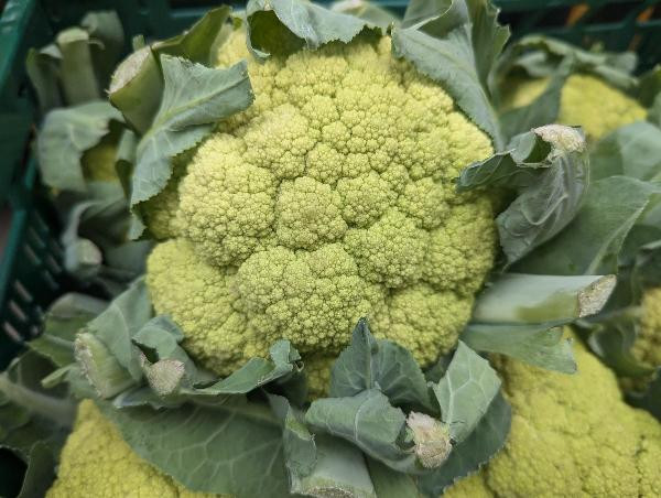 Produktfoto zu Blumenkohl grün