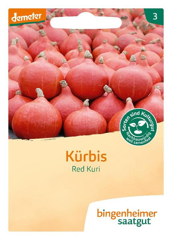 Produktfoto zu Hokkaido Kürbis Red Kuri