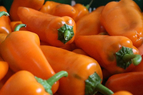 Produktfoto zu Paprika orange spitz