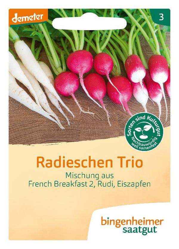 Produktfoto zu Radieschen Mischung Trio